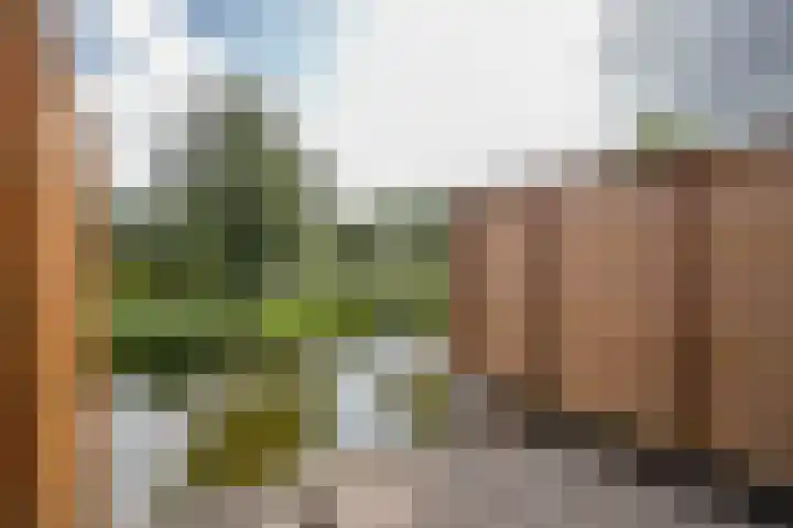 Gouwe 19 Nieuwerkerk aan den IJssel thumbnail 53
