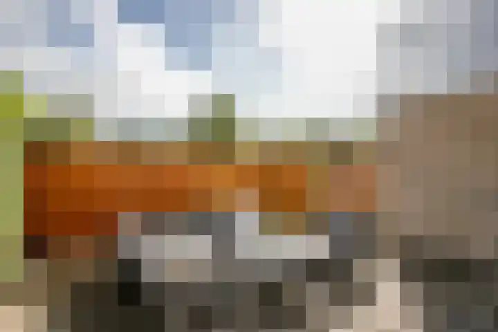 Gouwe 19 Nieuwerkerk aan den IJssel thumbnail 55