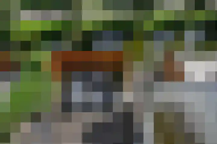 Gouwe 19 Nieuwerkerk aan den IJssel thumbnail 56