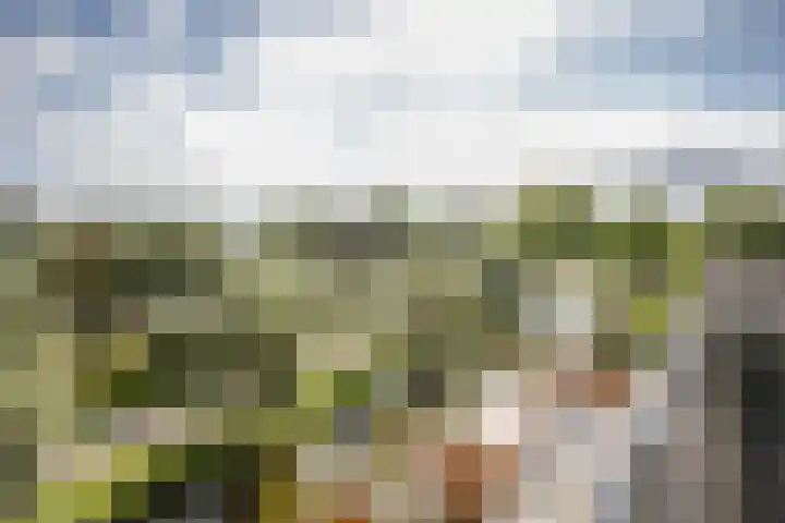 Gouwe 19 Nieuwerkerk aan den IJssel thumbnail 57