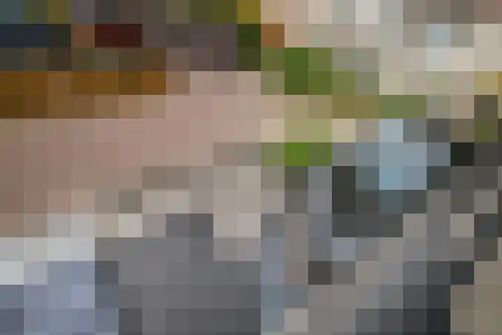 Gouwe 19 Nieuwerkerk aan den IJssel thumbnail 61