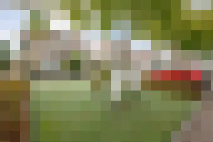 Gouwe 19 Nieuwerkerk aan den IJssel thumbnail 63