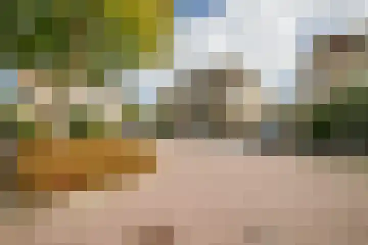 Gouwe 19 Nieuwerkerk aan den IJssel thumbnail 64