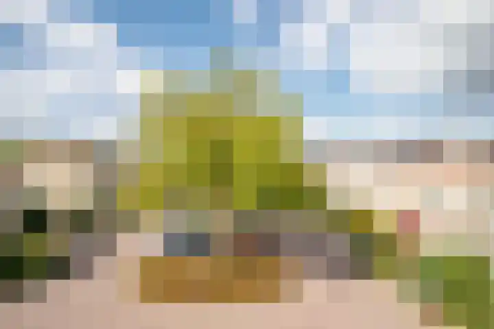 Gouwe 19 Nieuwerkerk aan den IJssel thumbnail 66