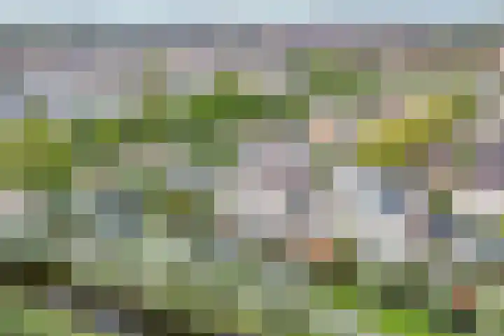 Gouwe 19 Nieuwerkerk aan den IJssel thumbnail 67