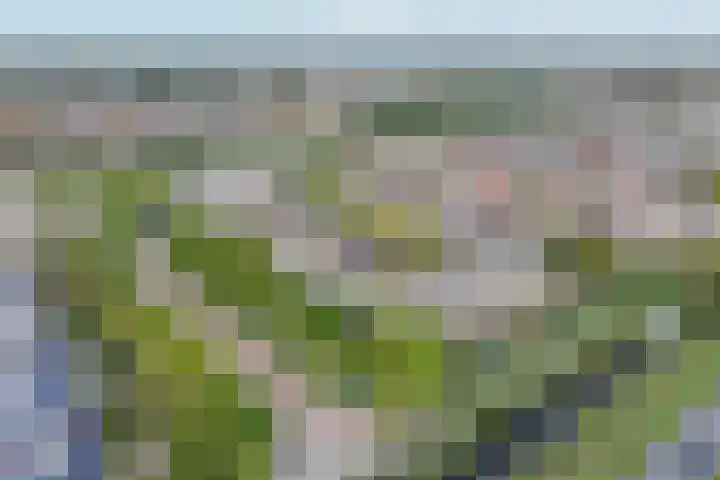 Gouwe 19 Nieuwerkerk aan den IJssel thumbnail 68