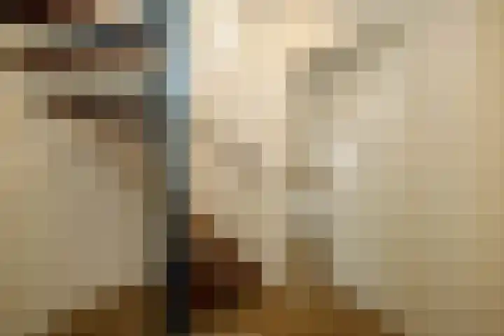 Gouwe 19 Nieuwerkerk aan den IJssel thumbnail 7