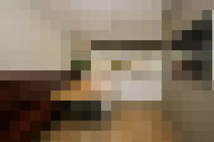 Gouwe 19 Nieuwerkerk aan den IJssel thumbnail 8