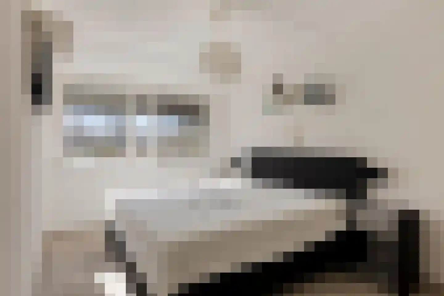 Gouwe 20 Heerhugowaard thumbnail 27