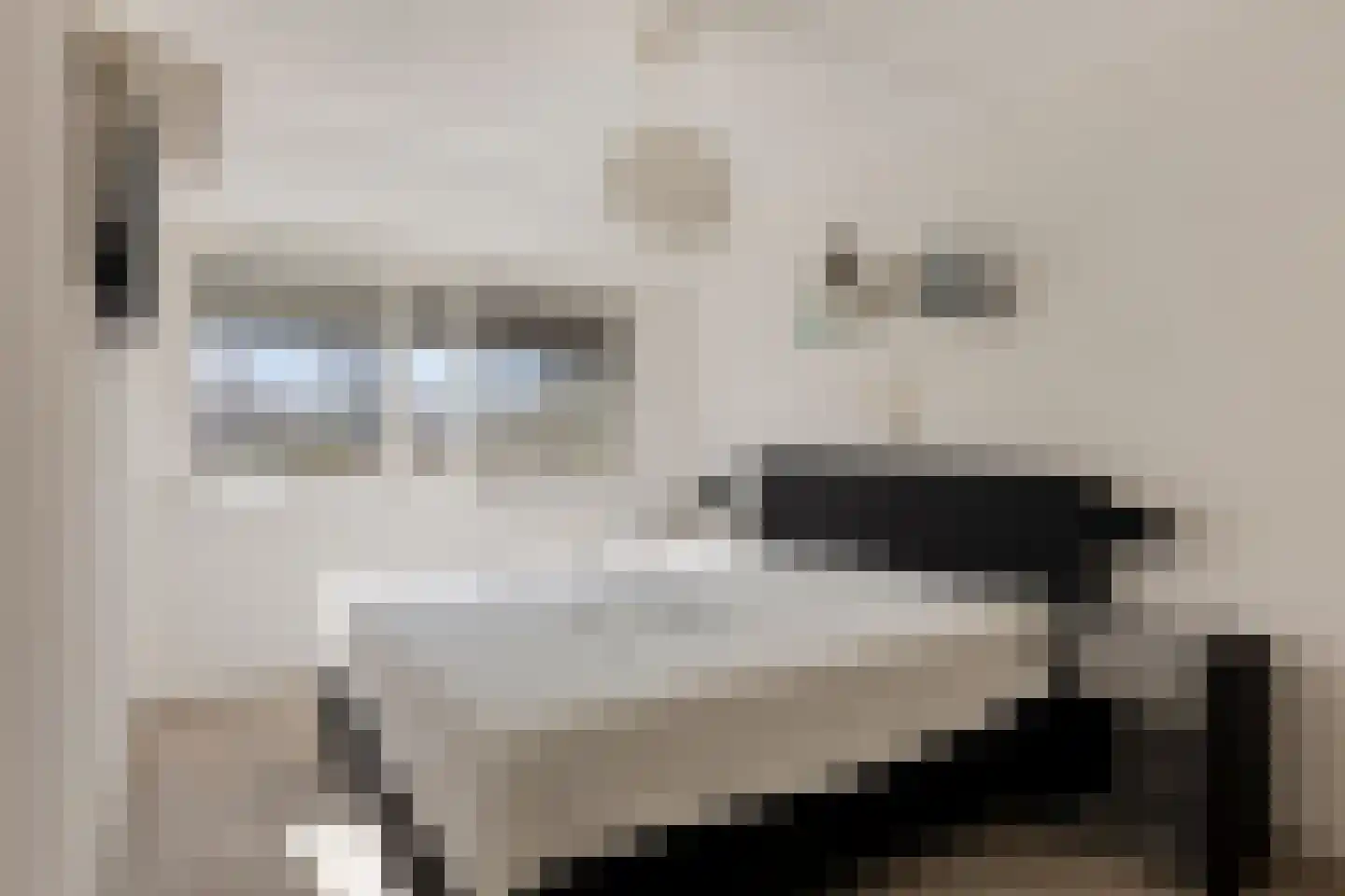 Gouwe 20 Heerhugowaard thumbnail 4