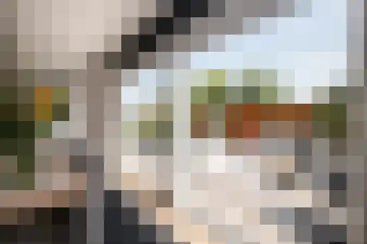 Gouwe 21 Nieuwerkerk aan den IJssel thumbnail 11