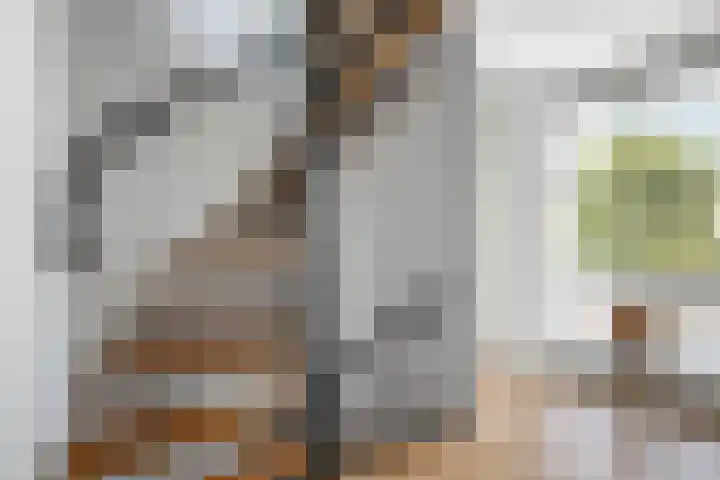 Gouwe 21 Nieuwerkerk aan den IJssel thumbnail 17