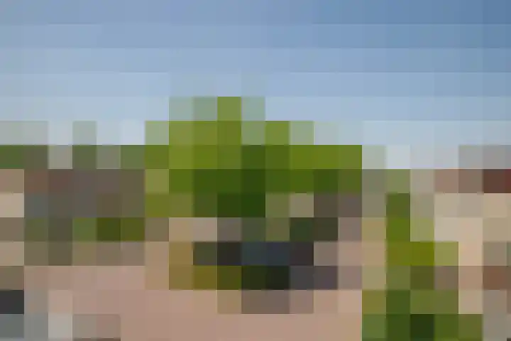 Gouwe 21 Nieuwerkerk aan den IJssel thumbnail 31