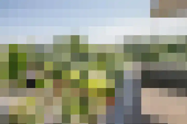 Gouwe 21 Nieuwerkerk aan den IJssel thumbnail 32
