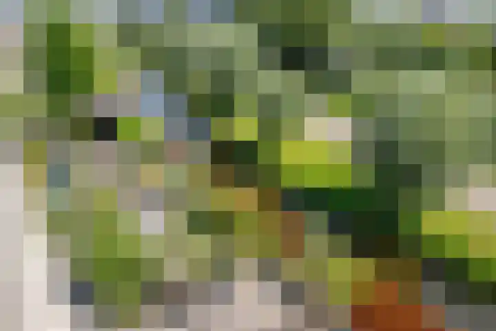 Gouwe 21 Nieuwerkerk aan den IJssel thumbnail 33