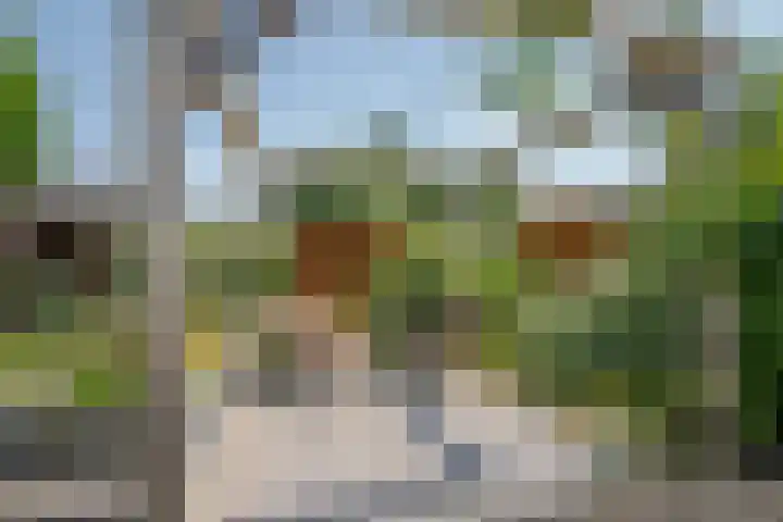 Gouwe 21 Nieuwerkerk aan den IJssel thumbnail 40