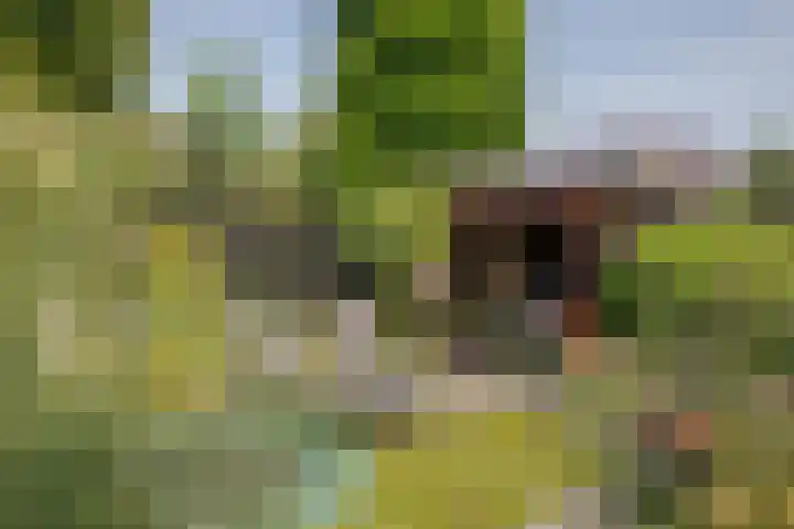 Gouwe 21 Nieuwerkerk aan den IJssel thumbnail 41
