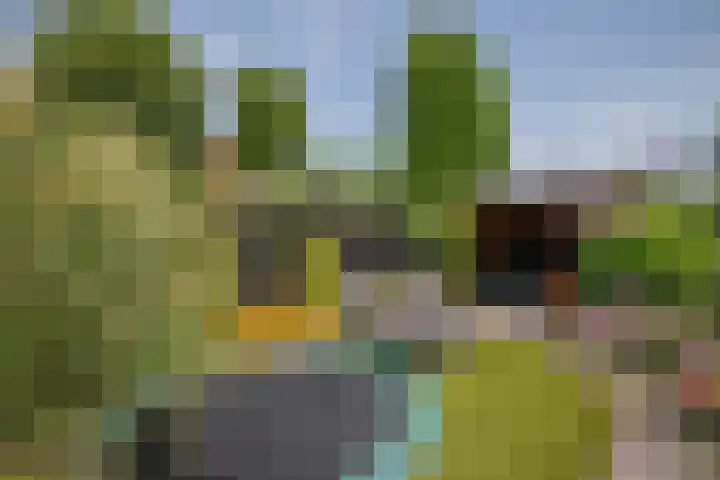 Gouwe 21 Nieuwerkerk aan den IJssel thumbnail 43