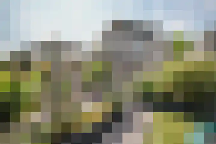 Gouwe 21 Nieuwerkerk aan den IJssel thumbnail 44