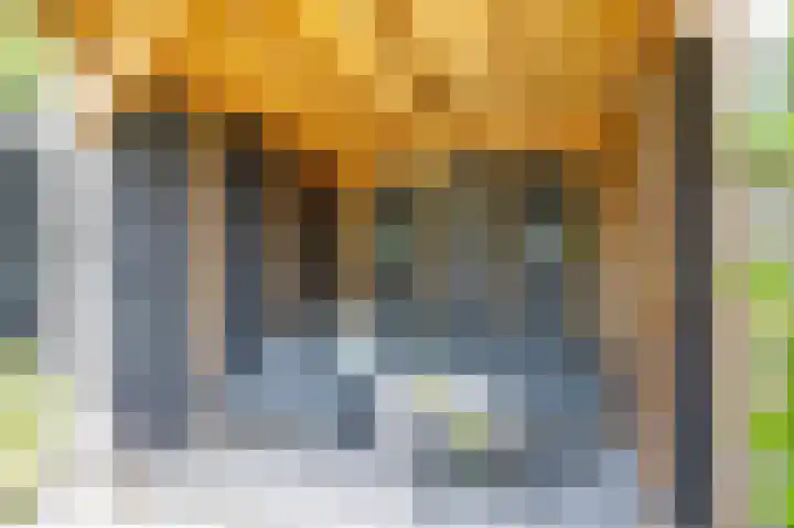 Gouwe 21 Nieuwerkerk aan den IJssel thumbnail 46