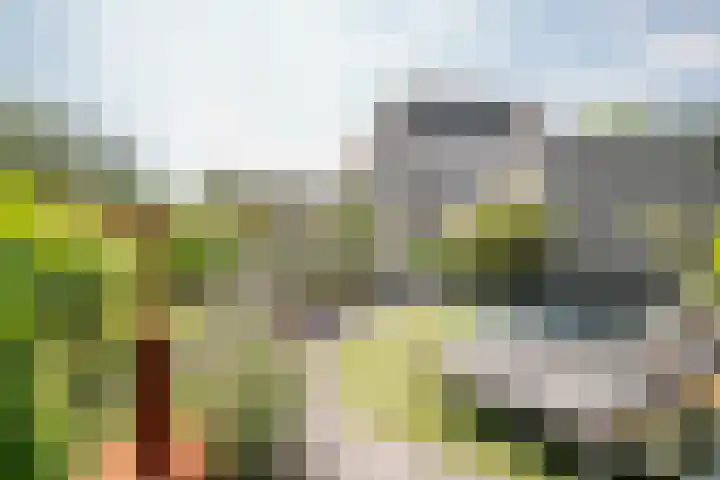 Gouwe 21 Nieuwerkerk aan den IJssel thumbnail 47