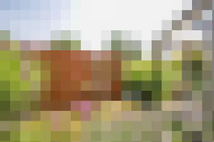 Gouwe 21 Nieuwerkerk aan den IJssel thumbnail 48