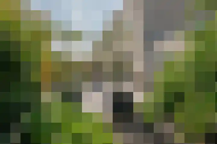Gouwe 21 Nieuwerkerk aan den IJssel thumbnail 49
