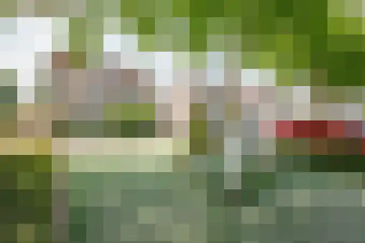 Gouwe 21 Nieuwerkerk aan den IJssel thumbnail 56