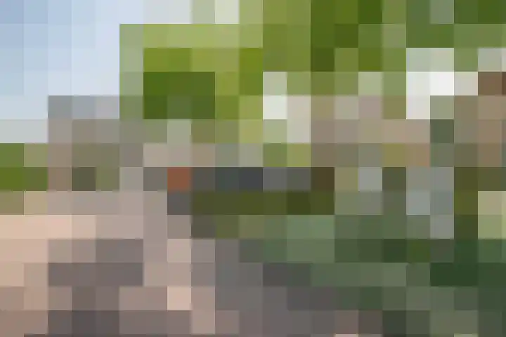 Gouwe 21 Nieuwerkerk aan den IJssel thumbnail 57