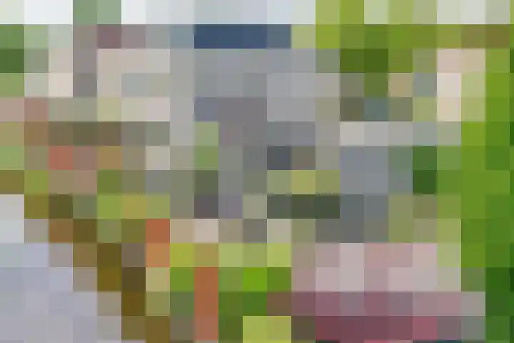 Gouwe 21 Nieuwerkerk aan den IJssel thumbnail 59