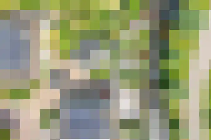Gouwe 21 Nieuwerkerk aan den IJssel thumbnail 61