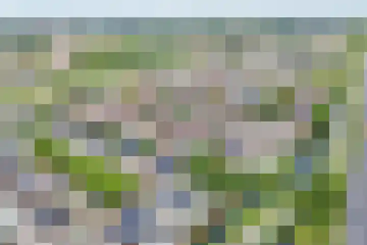 Gouwe 21 Nieuwerkerk aan den IJssel thumbnail 63
