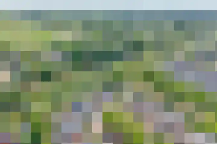 Gouwe 21 Nieuwerkerk aan den IJssel thumbnail 64