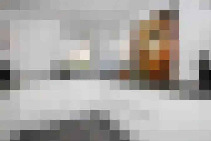 Gouwe 21 Nieuwerkerk aan den IJssel thumbnail 65