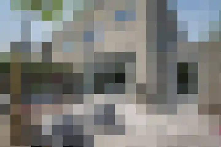 Gouwe 21 Nieuwerkerk aan den IJssel thumbnail 67