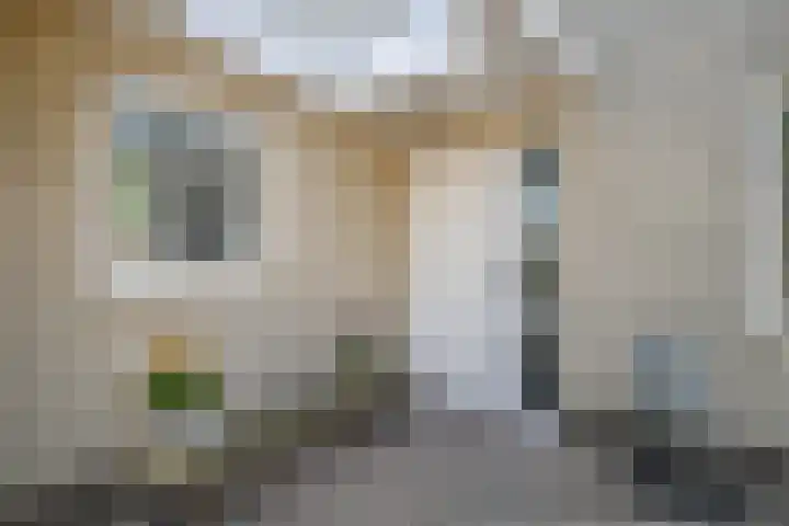 Gouwe 21 Nieuwerkerk aan den IJssel thumbnail 68