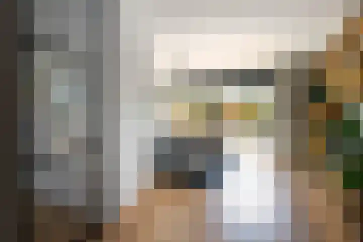 Gouwe 21 Nieuwerkerk aan den IJssel thumbnail 8
