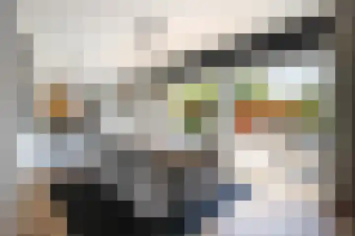 Gouwe 21 Nieuwerkerk aan den IJssel thumbnail 9