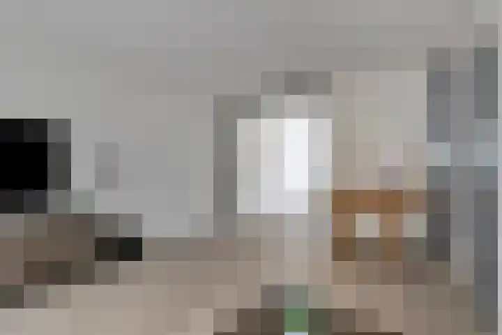 Gouwe 24 Heerhugowaard thumbnail 14