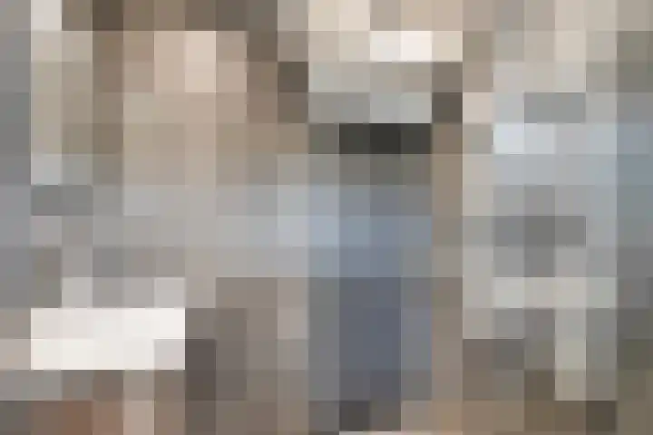 Gouwe 24 Heerhugowaard thumbnail 24