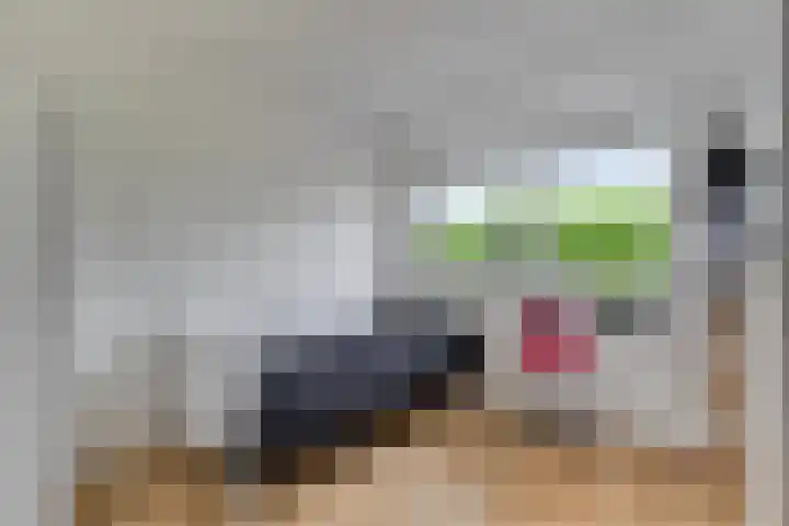 Gouwe 24 Heerhugowaard thumbnail 25