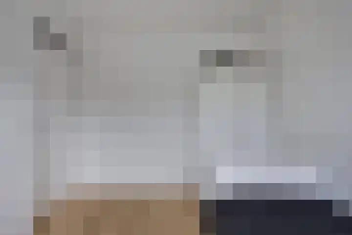 Gouwe 24 Heerhugowaard thumbnail 26