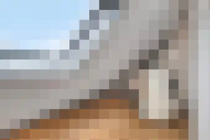 Gouwe 24 Heerhugowaard thumbnail 31