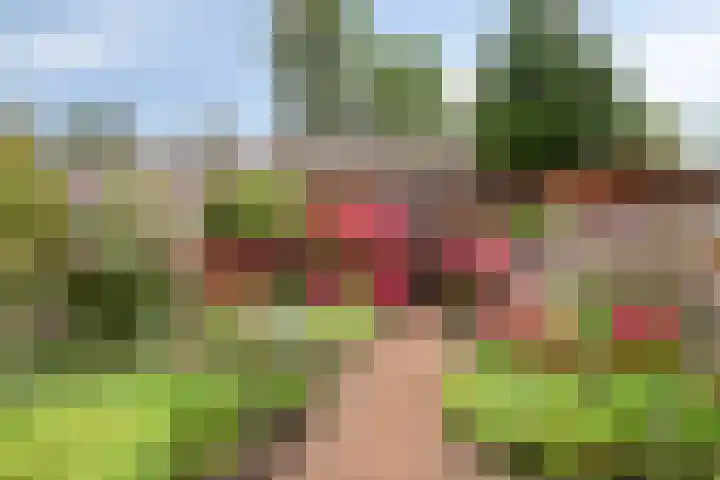 Gouwe 24 Heerhugowaard thumbnail 35