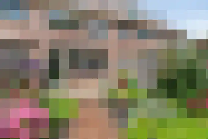 Gouwe 24 Heerhugowaard thumbnail 37