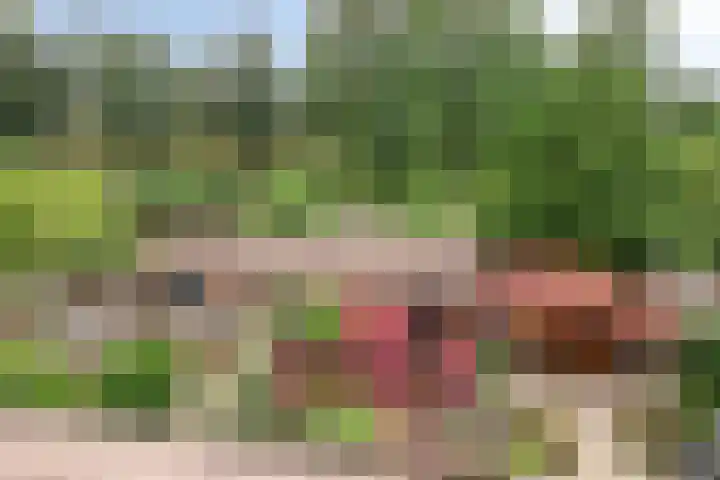 Gouwe 24 Heerhugowaard thumbnail 39