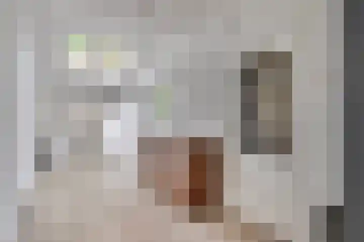 Gouwe 24 Heerhugowaard thumbnail 4