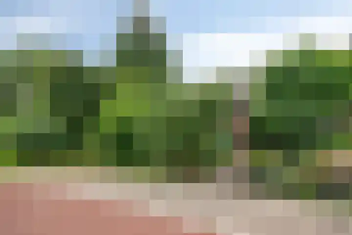 Gouwe 24 Heerhugowaard thumbnail 41