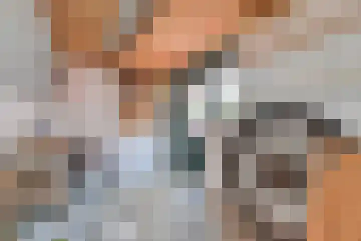 Gouwe 24 Heerhugowaard thumbnail 43