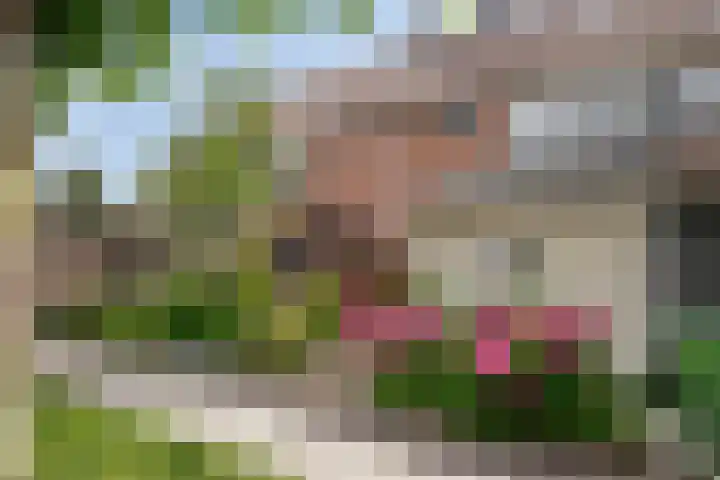 Gouwe 24 Heerhugowaard thumbnail 7